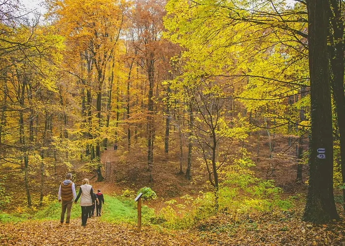 Grosse Fuer 6 Personen By Interhome 公寓 佐洛卡罗斯